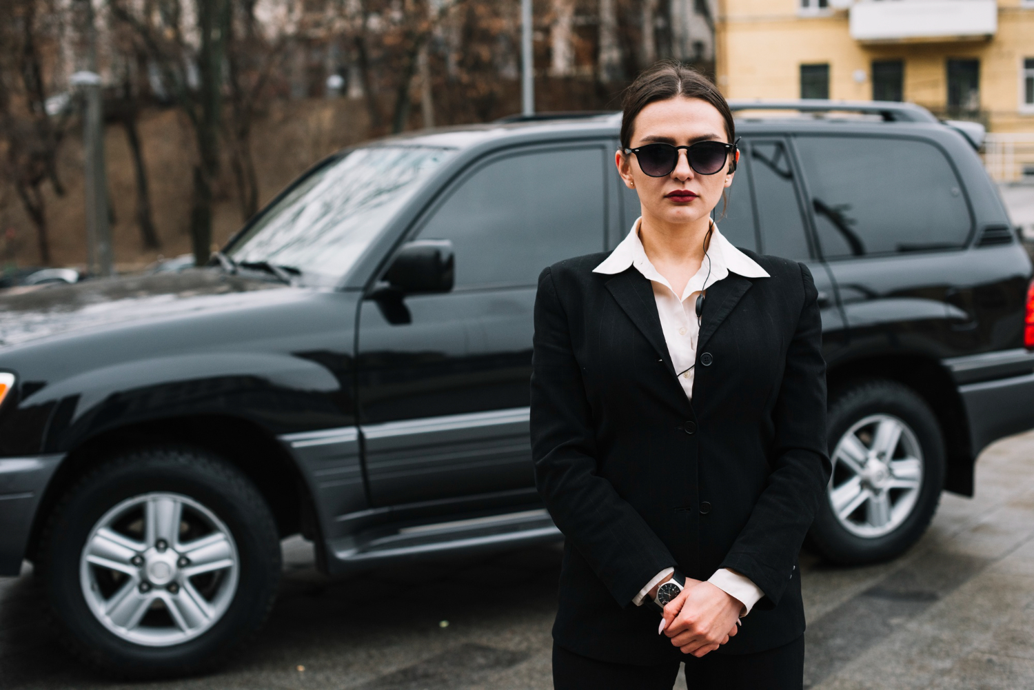 limousine services in chicago